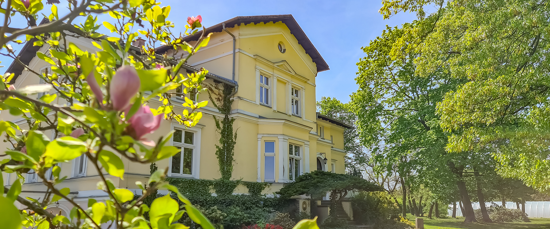 historyczny budynek Dworu Marcelin otoczony drzewami i roślinami, na pierwszym planie rosną magnolie