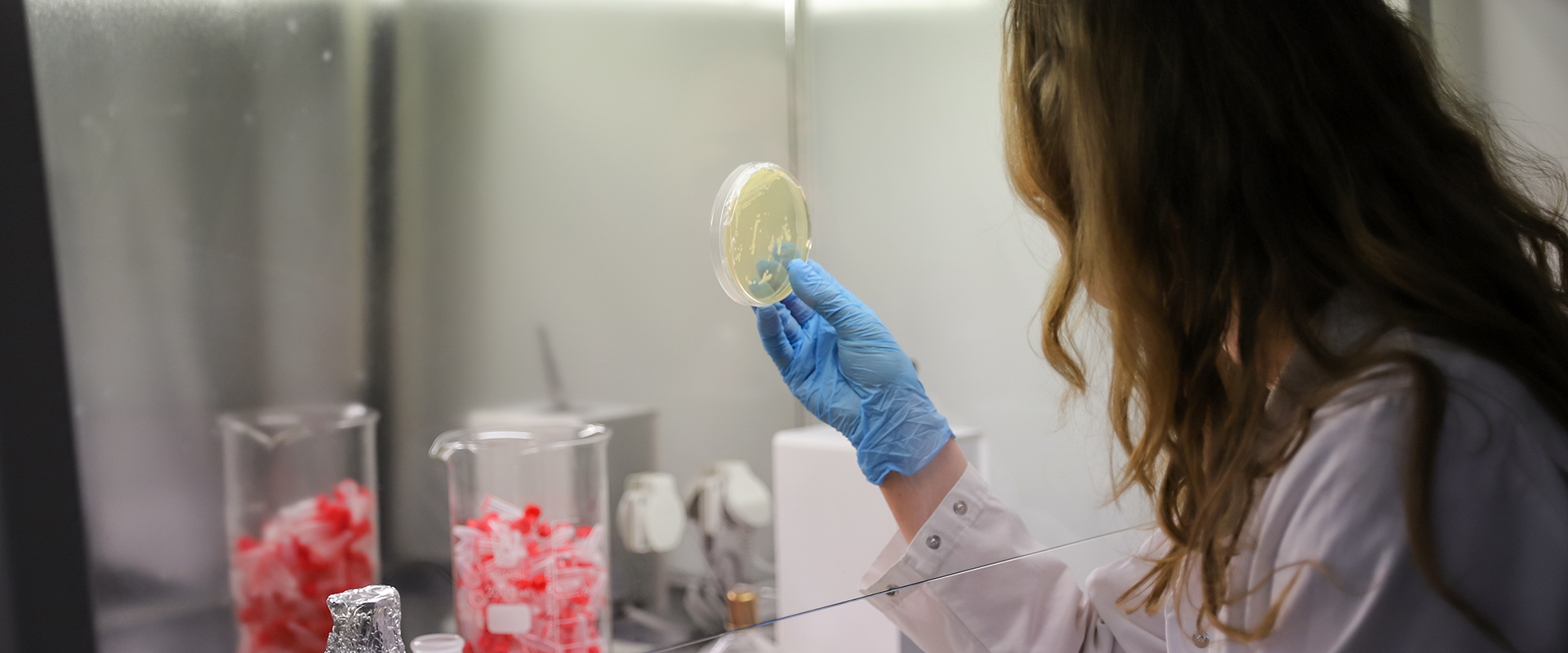 zdjęcie przedstawia dziewczynę oglądającą preparat