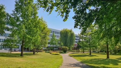 ścieżka prowadząca do budynku dawnego Wydziału Technologii Drewna na kampusie Uniwersytetu Przyrodniczego w Poznaniu