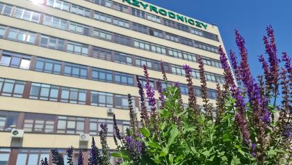 nasadzenia przed budynkiem Collegium Maximum na kampusie Uniwersytetu Przyrodniczego w Poznaniu