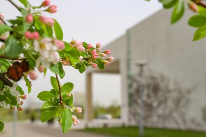 kampus Dojazd Uniwersytetu Przyrodniczego w Poznaniu