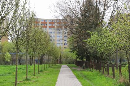 kampus Dojazd Uniwersytetu Przyrodniczego w Poznaniu