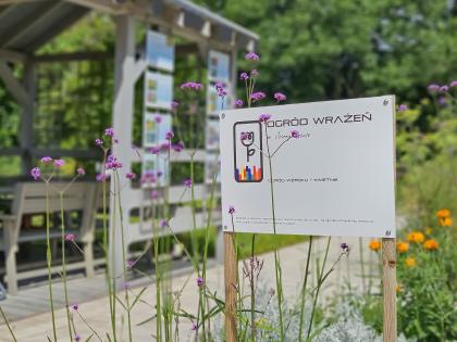 roślinność na kampusie Ogrody Uniwersytetu Przyrodniczego w Poznaniu