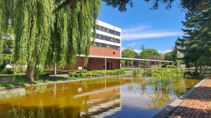 uczelniane stawy na kampusie głównym Uniwersytetu Przyrodniczego w Poznaniu