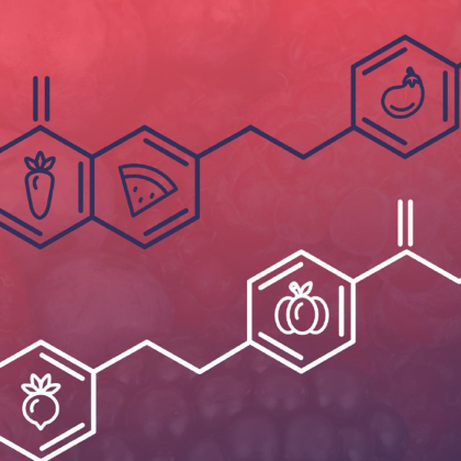 grafika konferencji -ikony żywieniowe 