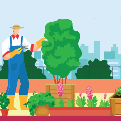 grafika studiów podyplomowych