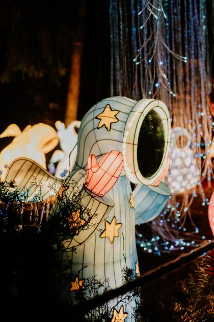 iluminacje świetlne