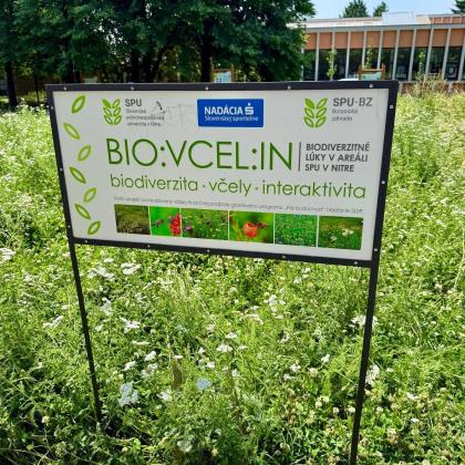 Autor podczas wizyty studyjnej 