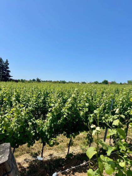 Autor podczas wizyty studyjnej 