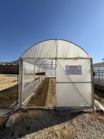 Autorka podczas odbywania stażu naukowego