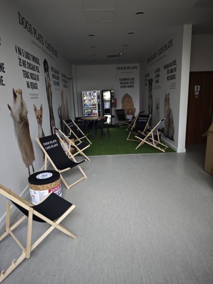 strefa chillu na Wydziale Medycyny Weterynaryjnej i Nauk o Zwierzętach