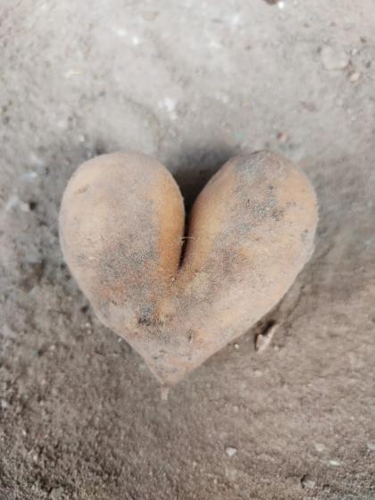 Ziemniak w kształcie serca