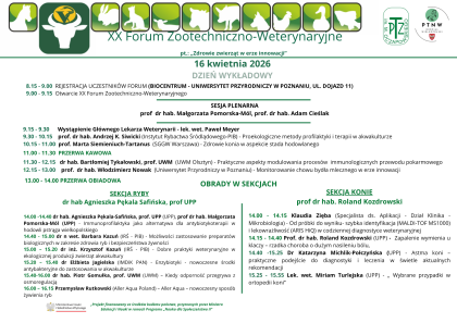 grafika informacyjna