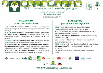 grafika informacyjna