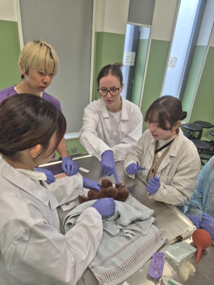 Zajęcia z neonatologii