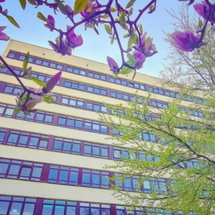 Zdjęcie budynku Collegium Maximum 