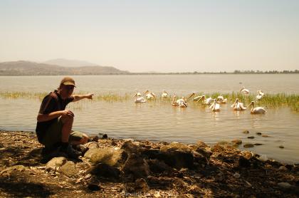 mężczyzna przy brzegu patrzy na zwierzęta w oddali