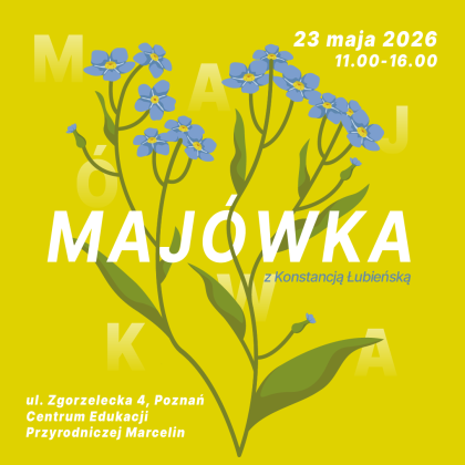 grafika informacyjna