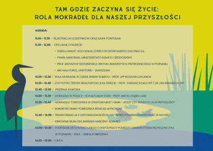 grafika informacyjna