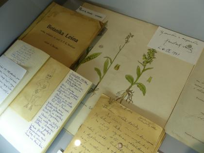 zasoby muzeum UPP