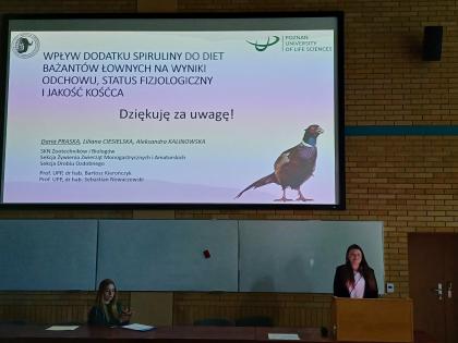Sala wykładowa z ekranem multimedialnym 