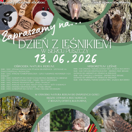 grafika informacyjna