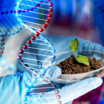 dna i roślina