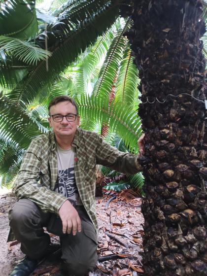 mężczyzna przy drzewie
